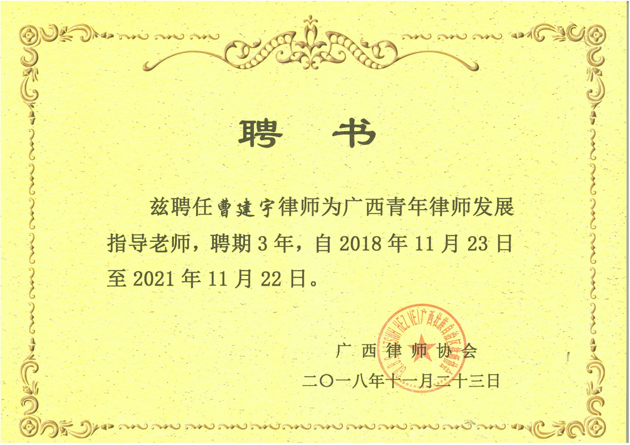 广西青年律师发展指导老师.png