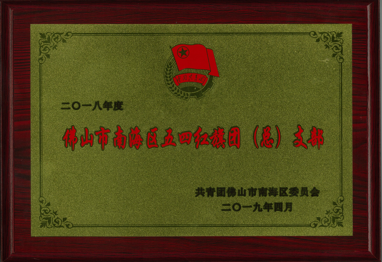 佛山市南海区五四红旗团（总）支部.png